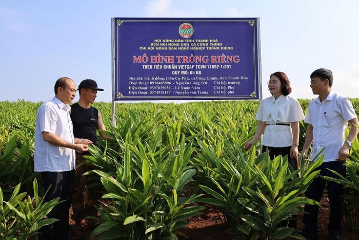 Ông Vũ Tiến Dũng khảo sát mô hình sản xuất tại địa phương, qua đó nắm bắt nhu cầu hỗ trợ kỹ thuật và ứng dụng công nghệ của hội viên nông dân.