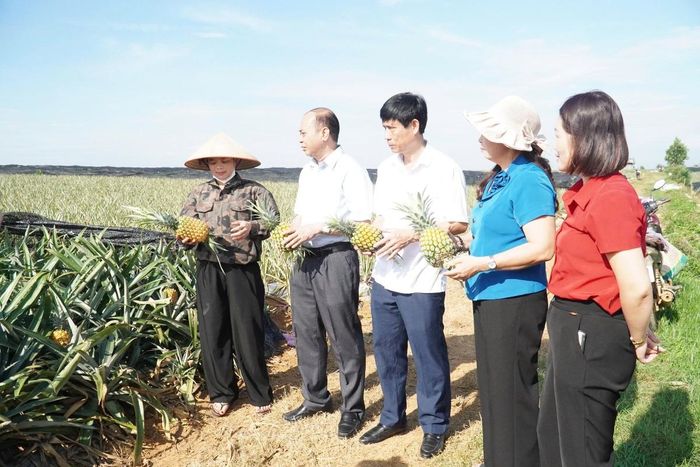 Việc tham quan, trao đổi tại các mô hình sản xuất giúp Hội Nông dân tỉnh Thanh Hóa nắm bắt thực tế, làm cơ sở đề xuất giải pháp hỗ trợ hội viên ứng dụng tiến bộ kỹ thuật.
