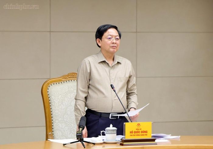 Phó Thủ tướng Hồ Quốc Dũng phát biểu chỉ đạo tại cuộc họp. Ảnh: Chinhphu.vn/Gia Huy.