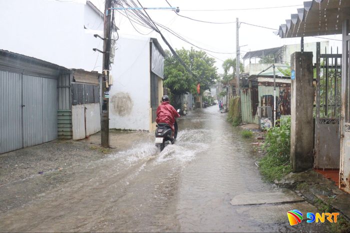 Các khu dân cư thấp trũng ở đường Mẹ Suốt (phường Hòa Khánh) được ưu tiên kiểm chứng bản đồ ngập lụt từ trận mưa lớn xảy ra vào ngày 8/10. Ảnh: HOÀNG HIỆP