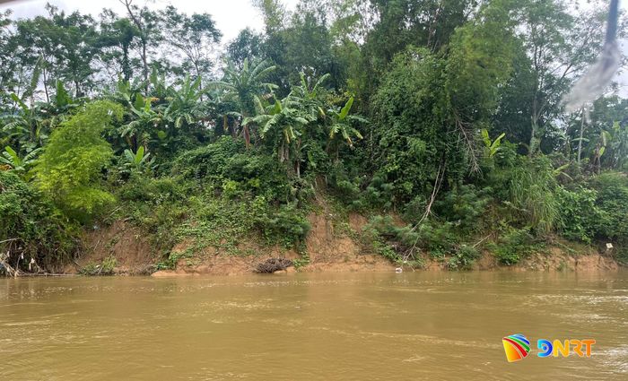 Sạt lở dọc bờ sông Vu Gia và sông Côn qua địa bàn xã Thượng Đức. Ảnh: XUÂN SƠN