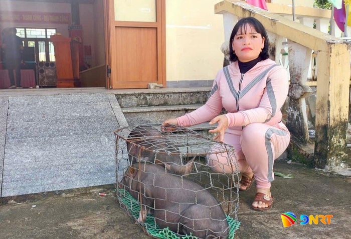 Hộ Alăng Thị Chớp nhận cặp heo đen do Quỹ Đầu tư phát triển thành phố hỗ trợ. Ảnh: A TING HÀN