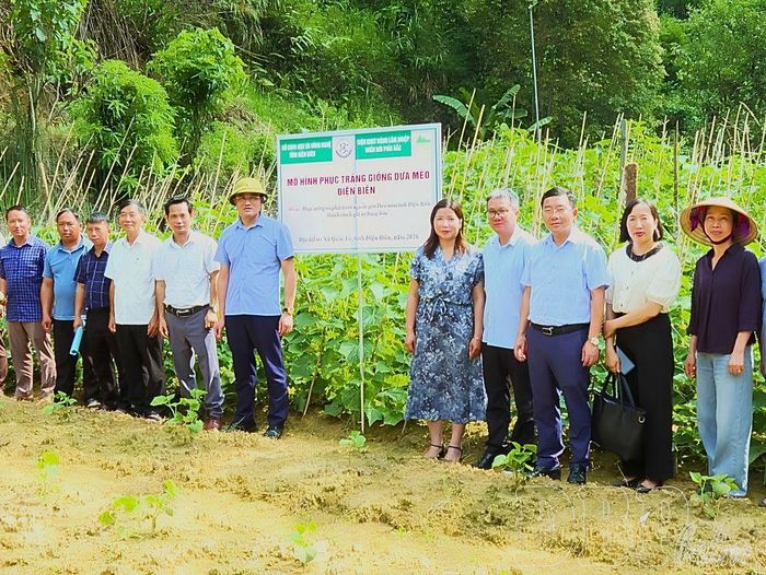 Mô hình phục tráng giống dưa mèo Điện Biên hướng đến đưa giống cây bản địa này trở thành hàng hóa đặc sản. Trong ảnh: Lãnh đạo xã Quài Tở và nhóm nghiên cứu chụp ảnh lưu niệm tại mô hình dưa mèo ở bản Lồng.
