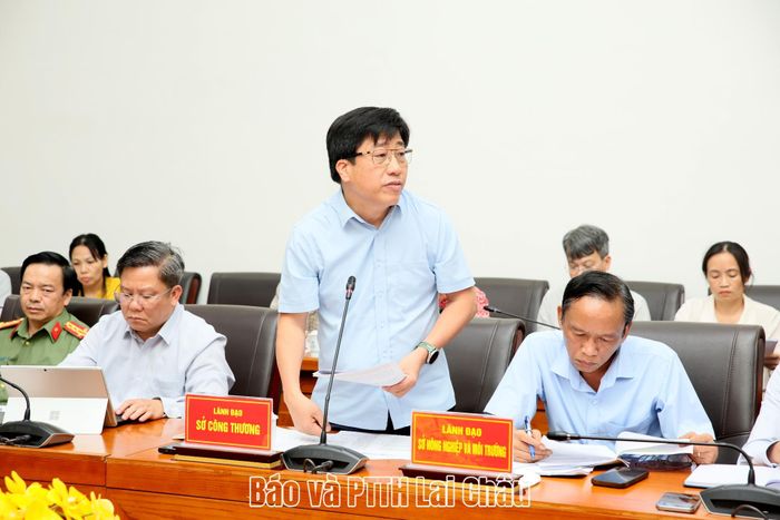Lãnh đạo Sở Công thương phát biểu tại phiên họp.