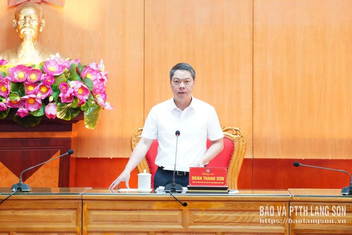 Đồng chí Đoàn Thanh Sơn, Phó Chủ tịch UBND tỉnh phát biểu kết luận tại cuộc họp