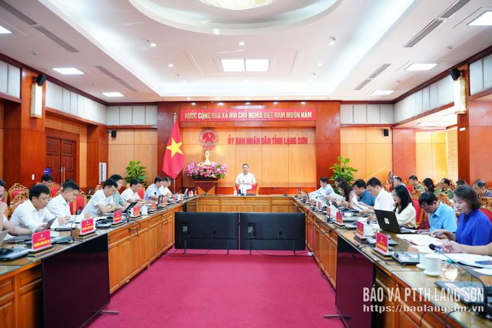 Đồng chí Đoàn Thanh Sơn, Phó Chủ tịch UBND tỉnh chủ trì cuộc họp