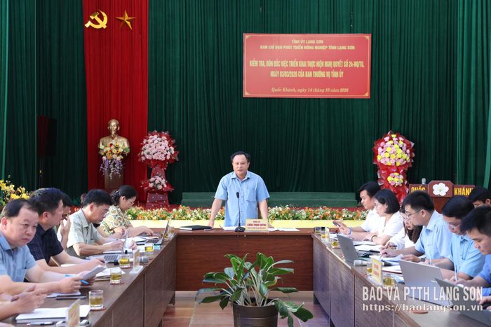 Đồng chí Lương Trọng Quỳnh, Ủy viên Ban Thường vụ Tỉnh ủy, Trưởng Ban Nội chính Tỉnh ủy, Phó Trưởng ban Thường trực BCĐ phát biểu quán triệt một số nội dung tại buổi kiểm tra