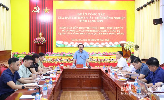 Đồng chí Lương Trọng Quỳnh, Ủy viên Ban Thường vụ Tỉnh ủy, Trưởng Ban Nội chính Tỉnh ủy, Phó Trưởng ban Thường trực BCĐ phát biểu kết luận buổi kiểm tra tại các xã khu vực Cao Lộc