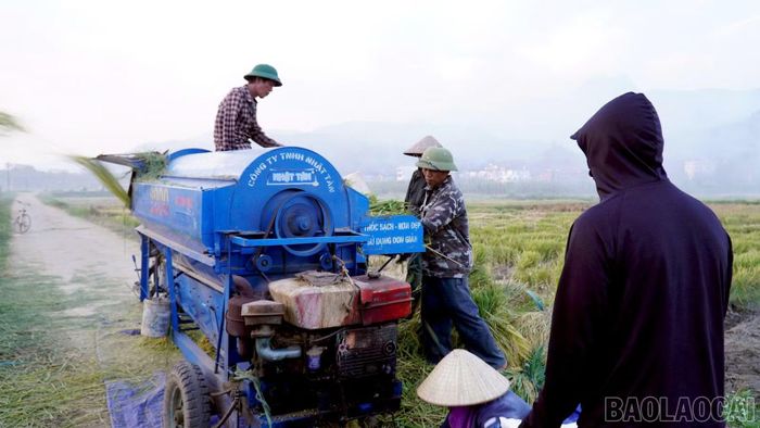 Người dân đưa máy móc vào đồng ruộng, đẩy nhanh tiến độ thu hoạch lúa mùa.