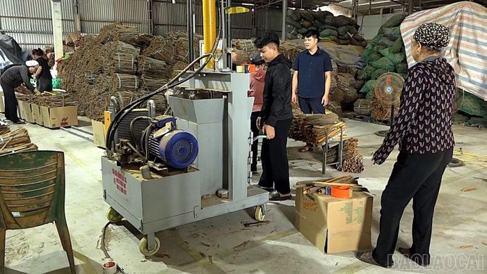 Hợp tác xã Nông - lâm sản xanh Mậu A sử dụng máy móc để đóng gói hàng hóa.
