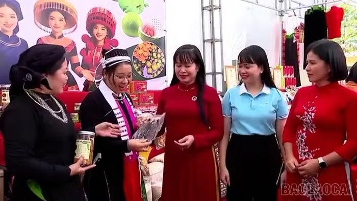 Hội LHPN tỉnh thường xuyên tổ chức các hoạt động quảng bá, giới thiệu sản phẩm cho các hợp tác xã, tổ hợp tác có phụ nữ làm chủ.