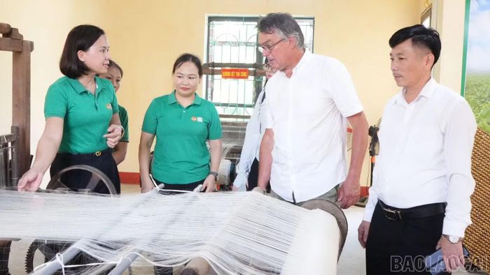 Lãnh đạo Hội Nông dân tỉnh khảo sát vùng trồng dâu nuôi tằm tại Trấn Yên, kết nối các đơn vị nhằm thúc đẩy liên kết tiêu thụ sản phẩm tằm tơ. (ảnh Hội Nông dân tỉnh)