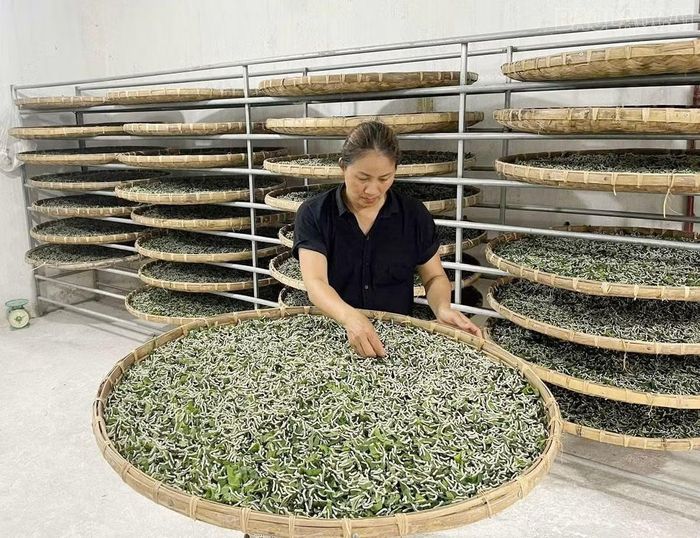 Đến nay, Lào Cai có 6 cá nhân được tôn vinh danh hiệu “Nhà khoa học của nhà nông”, 26 nông dân được bình chọn danh hiệu “Nông dân Việt Nam xuất sắc” và 8 hợp tác xã được tôn vinh “Hợp tác xã tiêu biểu toàn quốc”. Nhiều nông dân đạt giải cao tại Cuộc thi “Sáng tạo Kỹ thuật Nhà nông” do Trung ương Hội Nông dân Việt Nam tổ chức.
