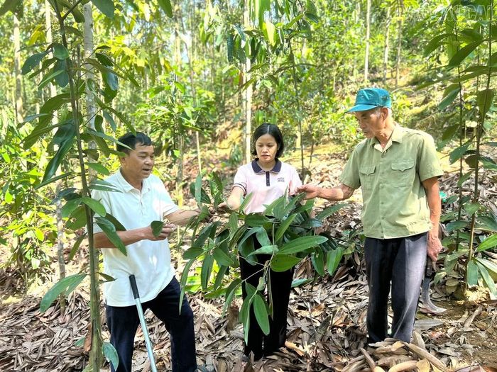 Cán bộ Hội Nông dân xã Bản Lầu tới tận hộ gia đình, hỗ trợ hội viên tháo gỡ khó khăn trong sản xuất.