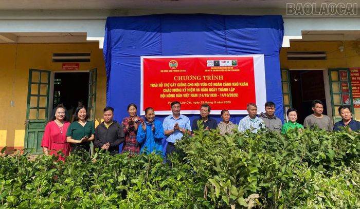 Bên cạnh hỗ trợ vốn, các cấp Hội còn cung ứng cây giống, chuyển giao khoa học, kỹ thuật cho hội viên.