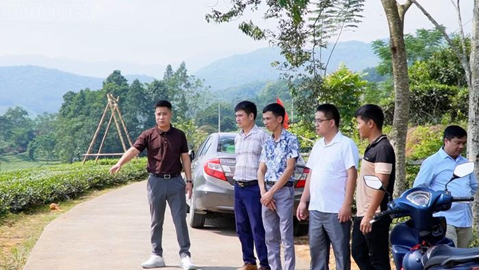 Lãnh đạo xã Liên Sơn khảo sát địa điểm check-in đồi chè phục vụ Lễ hội Văn hoá, Du lịch Mường Lò năm 2026.