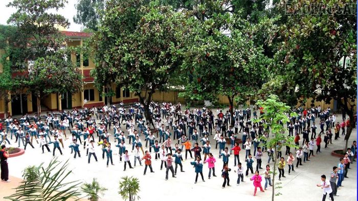 Học sinh Trường THCS Nguyễn Quang Bích (phường Nghĩa Lộ) tập võ Nhất Nam.