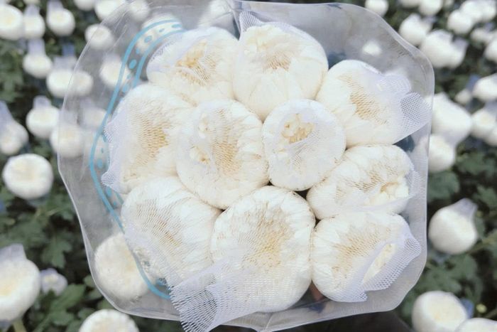 4.000 cành cúc trắng được chia thành 800 bó, được gia đình anh Định thu hoạch và chuyển xuống TP Hồ Chí Minh. Toàn bộ số hoa được bàn giao cho Bộ Tư lệnh TP Hồ Chí Minh để phát miễn phí cho người dân dự lễ