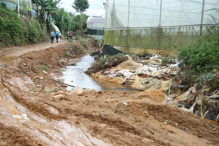 Đợt mưa lớn vừa qua đã gây thiệt hại khá lớn trên địa bàn phường Lang Biang - Đà Lạt