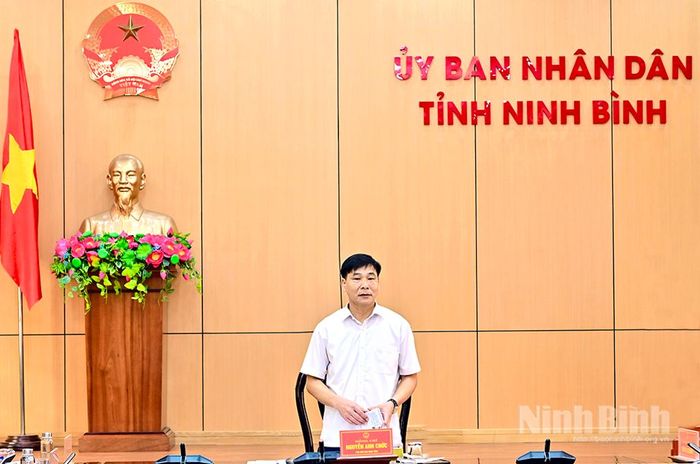 Đồng chí Phó Chủ tịch UBND tỉnh Nguyễn Anh Chức phát biểu kết luận hội nghị.