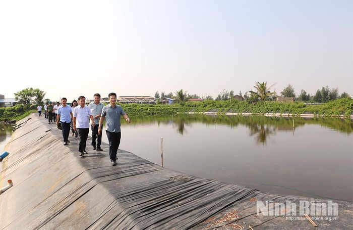 Đồng chí Phó Chủ tịch UBND tỉnh Trần Anh Dũng kiểm tra thực địa vùng quy hoạch phát triển kinh tế biển tại xã Giao Ninh.