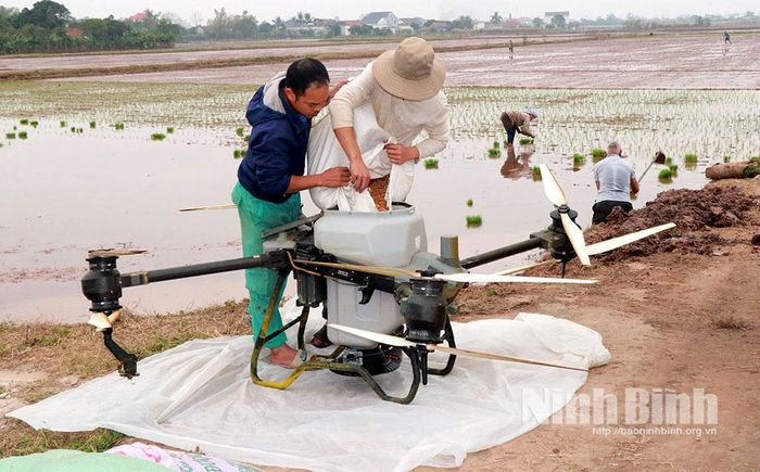 Ở HTX Thanh niên Nam Đại Dương, toàn bộ các khâu từ làm đất, gieo sạ, chăm sóc đến thu hoạch đều được cơ giới hóa ở mức độ cao.