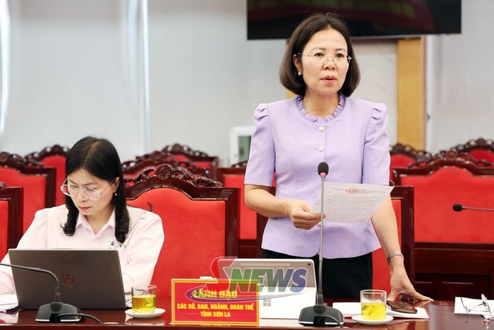 Lãnh đạo Sở Văn hóa, Thể thao và Du lịch báo cáo tại hội nghị.