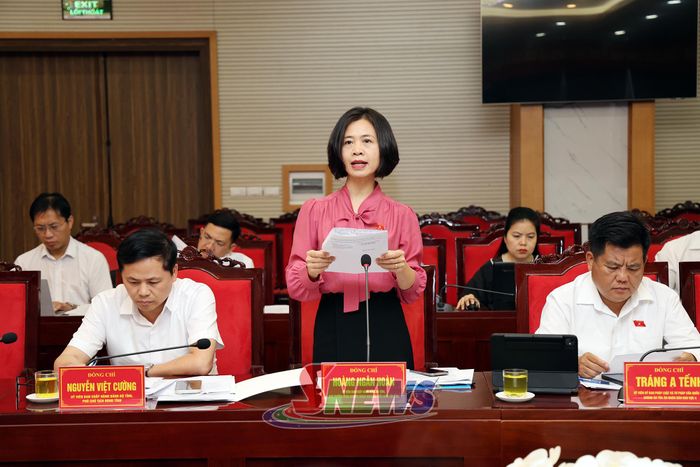 Đồng chí Hoàng Ngân Hoàn, Phó trưởng Đoàn chuyên trách Đoàn Đại biểu Quốc hội tỉnh, phát biểu tại hội nghị.