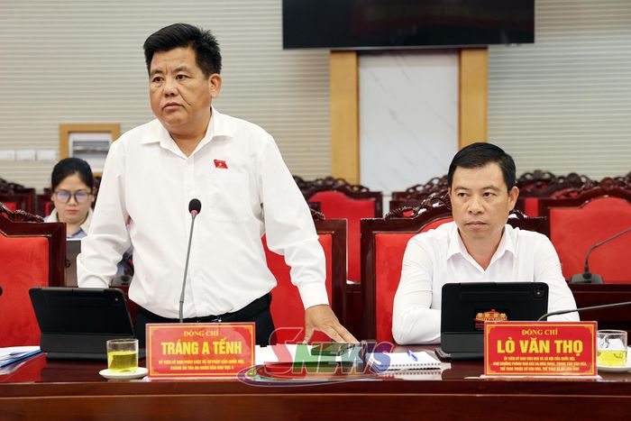 Đại biểu Quốc hội tỉnh phát biểu tại hội nghị.