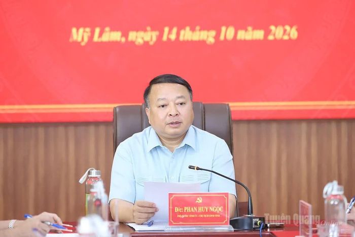 Chủ tịch UBND tỉnh Phan Huy Ngọc phát biểu kết luận buổi làm việc.