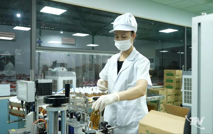Dây chuyền sản xuất của VGreen ứng dụng công nghệ lên men vi sinh để tạo ra các dòng sản phẩm mới từ trà Thái Nguyên, góp phần nâng cao giá trị cây chè.