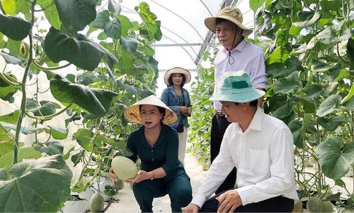 Lãnh đạo Trung ương HND cùng lãnh đạo HND thành phố thăm mô hình trồng dưa lưới nhà kính của hộ ông Trương Như Hải, phường Thủy Xuân, TP. Huế.