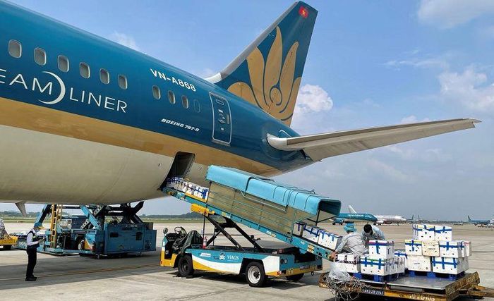 Cảng hàng không quốc tế Nội Bài và Tân Sơn Nhất hiện là hai đầu mối cần ưu tiên nâng cao hiệu quả xử lý hàng hóa và kết nối với các vùng sản xuất. (Ảnh minh họa)