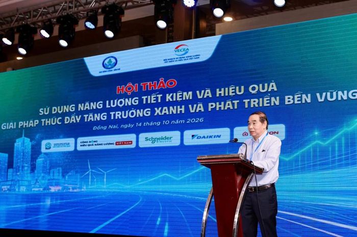 Ông Nguyễn Đình Hiệp - Chủ tịch Hội Khoa học và công nghệ sử dụng năng lượng tiết kiệm và hiệu quả Việt Nam (VECEA) phát biểu tại sự kiện.