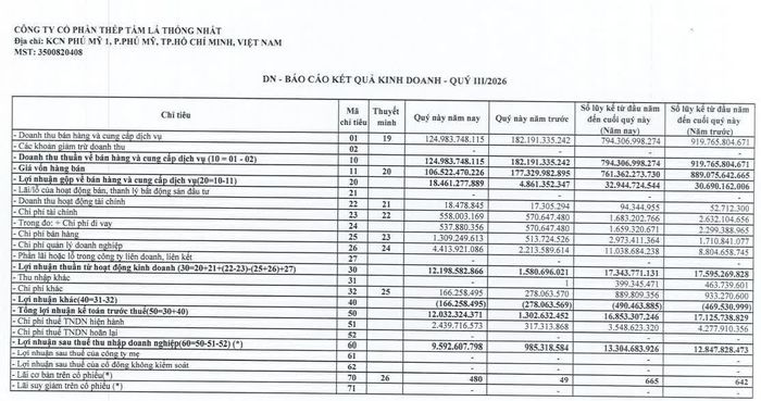 Kết quả kinh doanh quý III/2026 của Công ty CPThép tấm lá Thống Nhất.