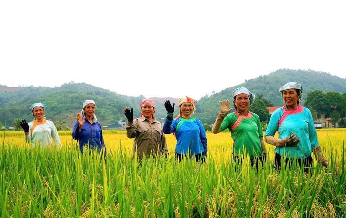 Phát triển sản xuất gắn với điều kiện thực tế từng địa phương góp phần tạo sinh kế bền vững cho đồng bào vùng cao Lào Cai.