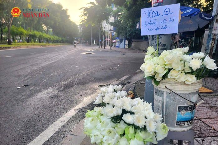 Những chậu hoa cúc, sen trắng “0 đồng” tại khu vực ga Metro Thảo Điền phục vụ cho người dân đưa tiễn hài cốt liệt sĩ. Ảnh: Quang Phương