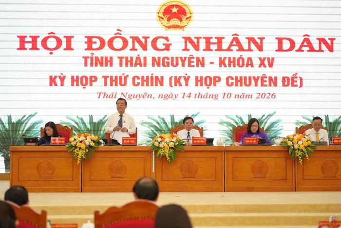 Phó Chủ tịch Thường trực HĐND tỉnh Đỗ Đức Công phát biểu tại kỳ họp