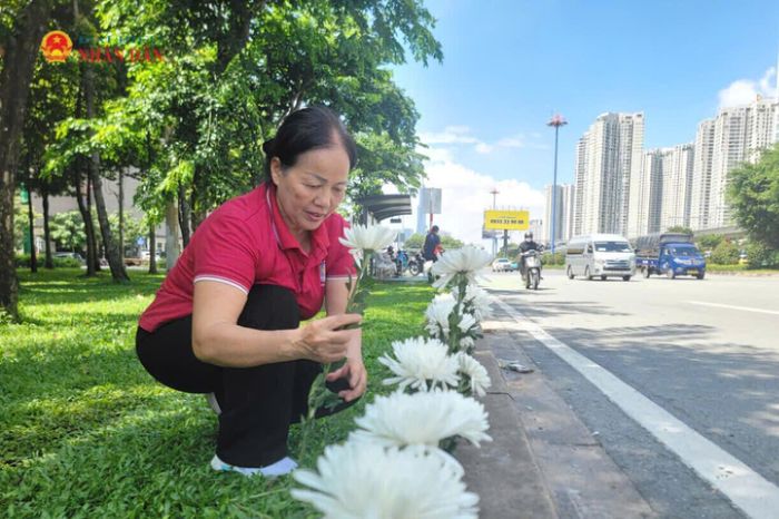 Người dân cắm hoa cúc trắng dọc đường Võ Nguyên Giáp sau khi đoàn xe đi qua nhằm thể hiện lòng tri ân đối với các Anh hùng liệt sĩ. Ảnh Quang Phương