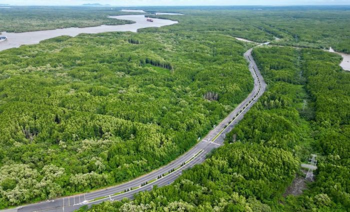 Cần Giờ được xây dựng là vùng phát thải thấp.