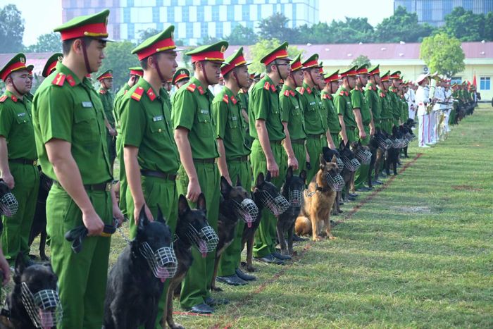 Các cán bộ huấn luyện và chó nghiệp vụ tham dự hội thi.
