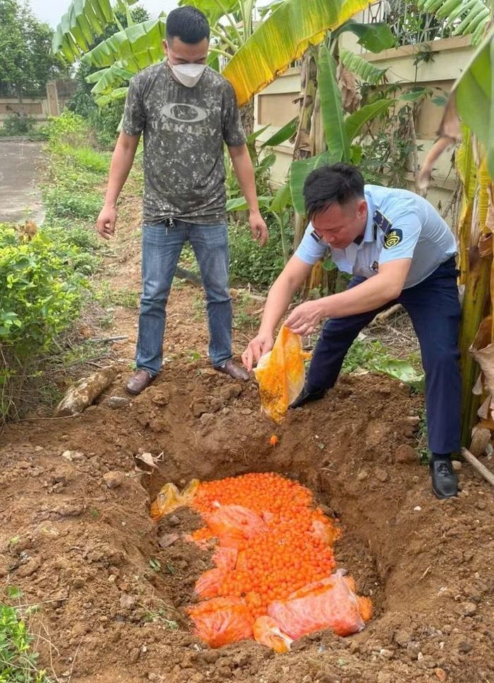Lực lượng chức năng tỉnh Quảng Ninh phát hiện thu giữ nhiều loại thực phẩm không rõ nguồn gốc.