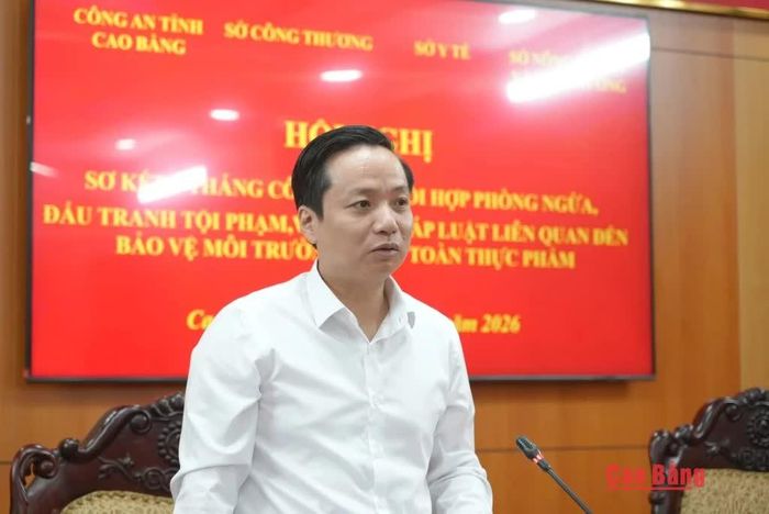 Chủ tịch UBND tỉnh Lê Hải Hòa phát biểu chỉ đạo tại hội nghị.