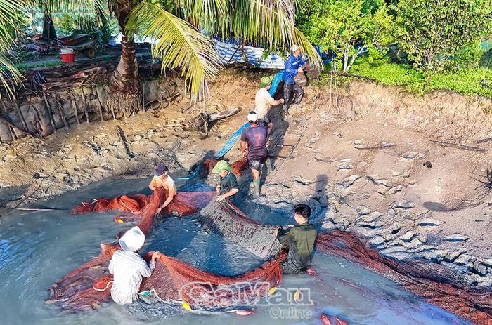 Mô hình nuôi cá chình, cá bống tượng của ông Nguyễn Hữu Ánh hằng năm mang về lợi nhuận trên 5 tỷ đồng.