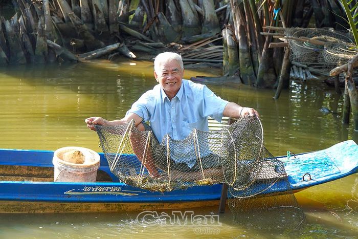 Ông Hồ Minh Anh (ấp Đầm Cùng, xã Cái Nước) phấn khởi thu hoạch tôm nuôi.