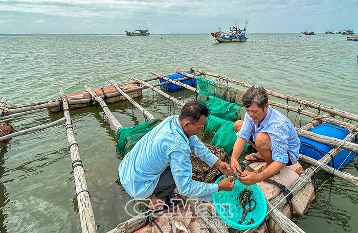 Hoạt động khai thác trên biển, đối mặt nguy cơ rủi ro, ngư dân cần được tăng cường hướng dẫn giải pháp thích ứng trước thiên tai.