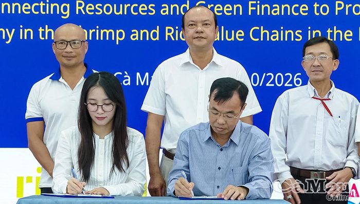 Liên minh Tôm sạch và Bền vững Việt Nam ký kết hợp tác với ASSIST nhằm thúc đẩy kinh tế tuần hoàn và chuyển đổi xanh trong ngành tôm tại Cà Mau.