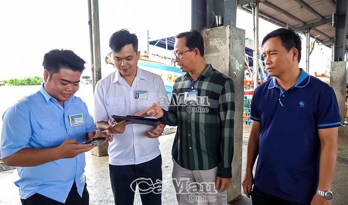 Các thành viên Ban Quản lý Cảng cá Sông Ðốc đối chiếu dữ liệu eCDT VN với sản lượng nhập cảng.