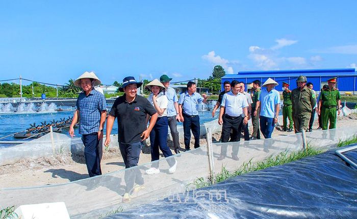 Đồng chí Huỳnh Quốc Việt, Phó Bí thư Tỉnh uỷ Cà Mau, cùng đoàn công tác tham quan mô hình nuôi tôm công nghệ cao tại xã Gành Hào.