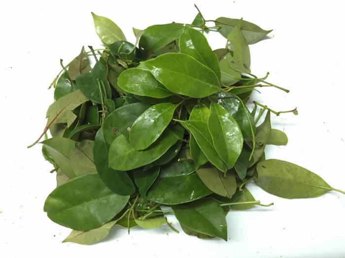 Lá lồm có màu xanh, hình dáng khá đơn giản, nhưng sở hữu vị chua tự nhiên đặc trưng - Ảnh minh hoạ